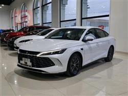 بي واي دي كوين L DM-i